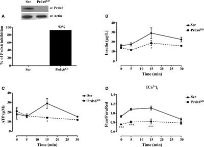 Peroxiredoxin 6 Modulates Insulin Secretion and Beta Cell Death via a Mitochondrial Dynamic Network